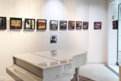 IMG_20241207_113255