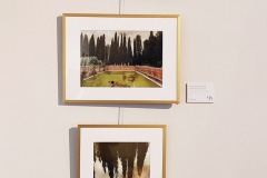 IMG_20241207_113417