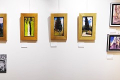 IMG_20241207_113508